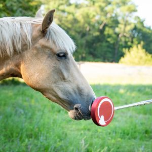 Kit cible télescopique